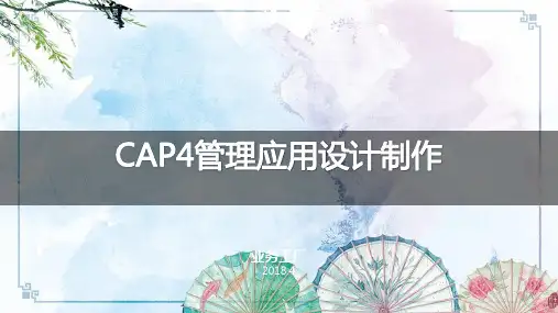 CAP4简明使用指南V2