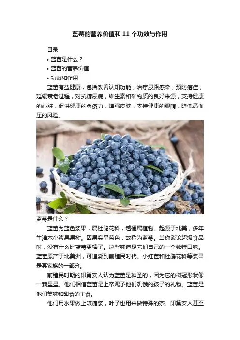 蓝莓的营养价值和11个功效与作用
