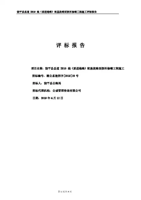 评标报告 (潮州,两家串标,IP地址一样)
