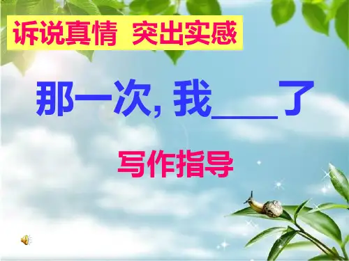 那一次-我-了.指导ppt