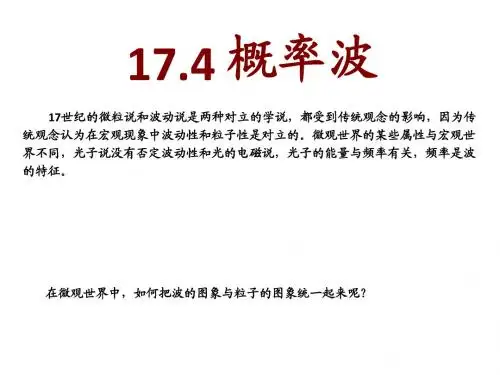 人教版选修3-5 17.4-5 概率波 不确定性关系(共15张PPT)