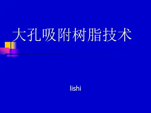大孔吸附树脂