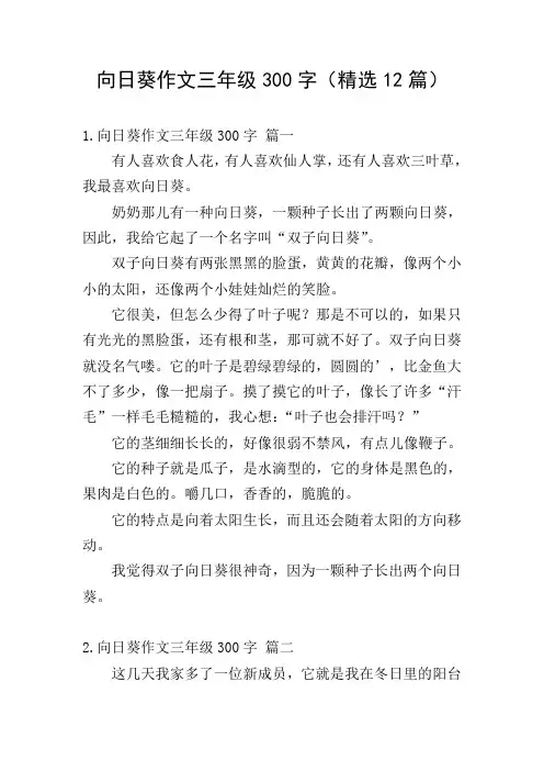 向日葵作文三年级300字(精选12篇)
