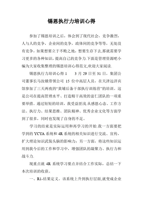 锡恩执行力培训心得