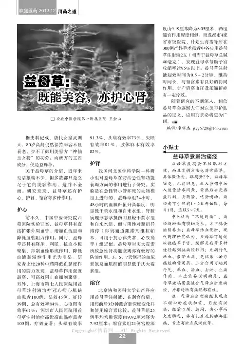 益母草：既能美容，亦护心肾  