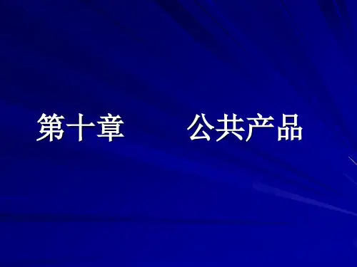20微观经济学 卫志民 (10)