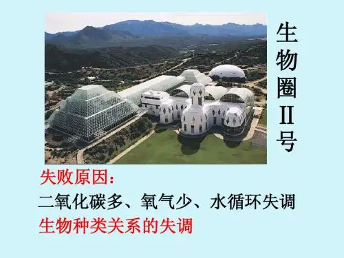水中生活的其他动物