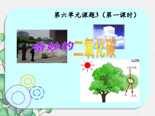 《奇妙的二氧化碳》课件 2022年人教版省一等奖PPT