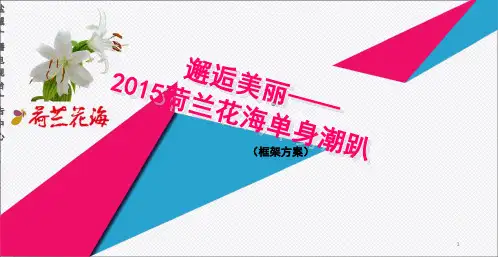 邂逅美丽荷兰花海单身派对策划方案(课堂PPT)
