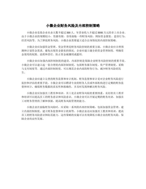 小微企业财务风险及内部控制策略
