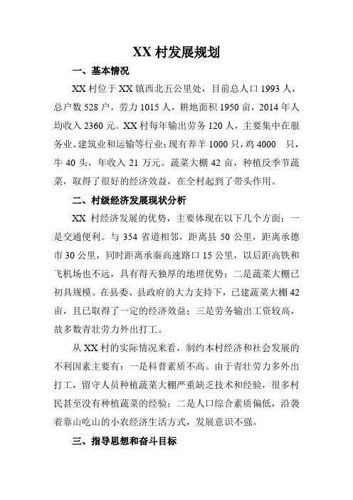 XX村发展规划