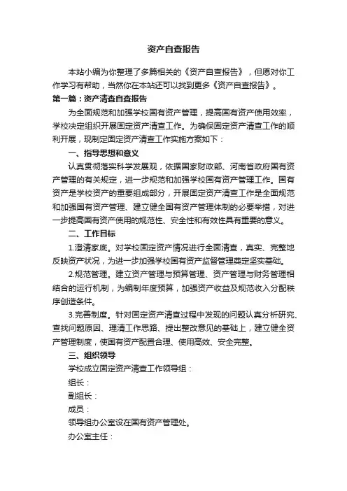 资产自查报告
