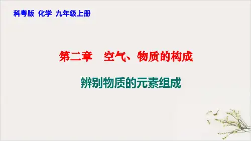 2.4辨别物质的元素组成PPT九年级化学科粤版上册精品课件