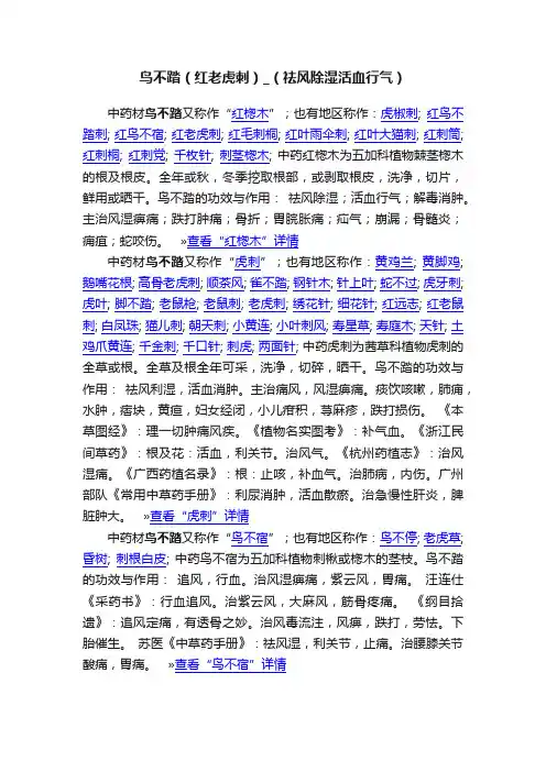 鸟不踏（红老虎刺）_（祛风除湿活血行气）