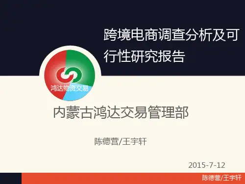 跨境电商调查分析及可行性研究报告