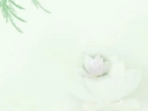 俗世奇人之《泥人张》