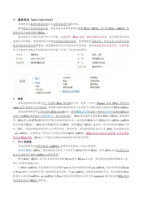 基因表达与调控