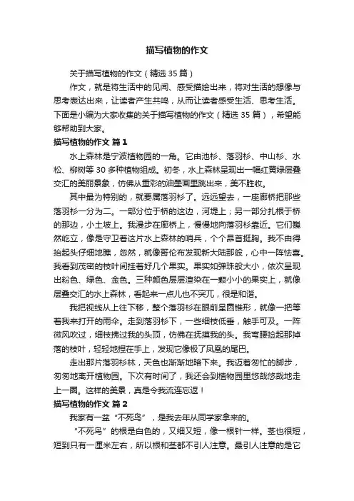 关于描写植物的作文（精选35篇）
