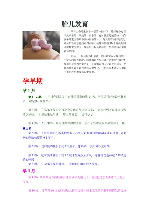 怀孕每周详解 图解