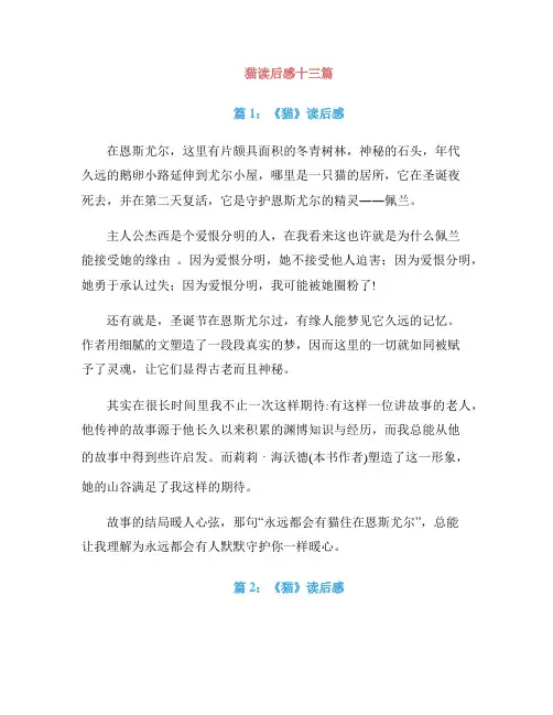 猫读后感十三篇