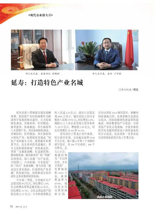 延寿：打造特色产业名城