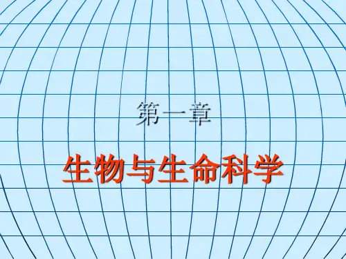 第一章绪论
