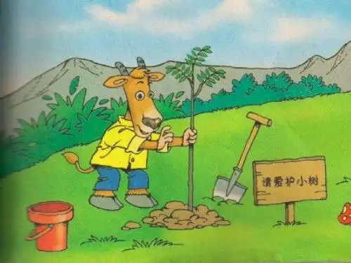 一片树叶课件