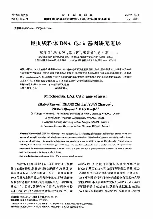 昆虫线粒体DNA Cyt b基因研究进展