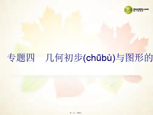 中考数学总复习 第二篇 专题突破 专题四 几何初步与图形的变化课件