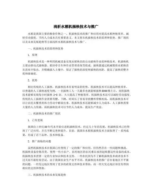 浅析水稻机插秧技术与推广