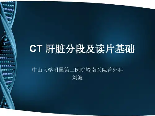 CT_肝脏分段及读片