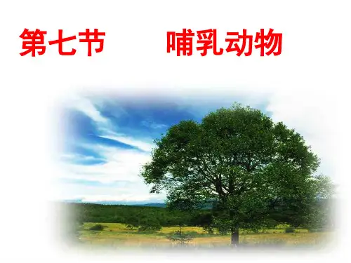 八年级生物第一章  第七节  哺乳动物