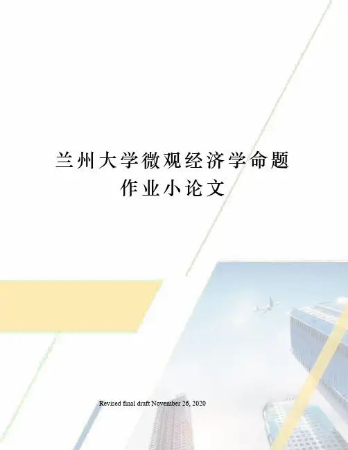 兰州大学微观经济学命题作业小论文