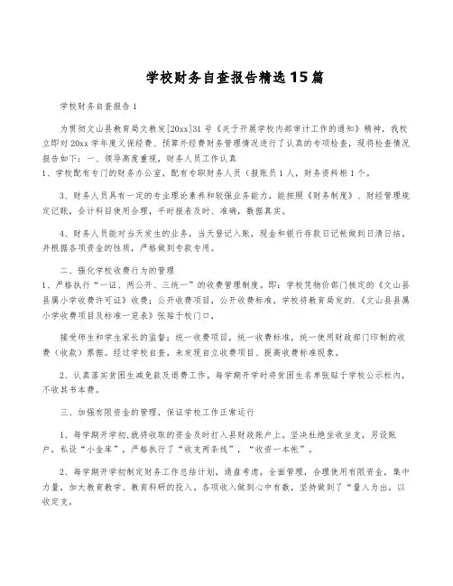 学校财务自查报告精选15篇