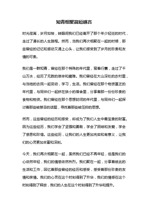 知青相聚简短感言