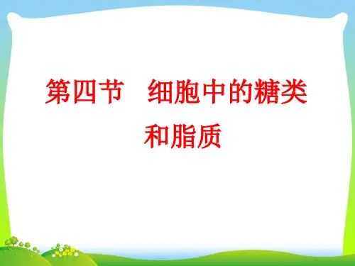 细胞中的糖类和脂质-课件
