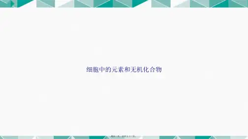 细胞中的元素和无机化合物讲课文档