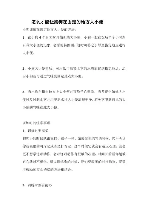 怎么才能让狗狗在固定的地方大小便
