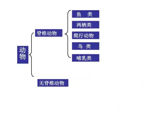 浙教版七年级上册科学：2.4.3 常见的动物课件