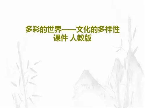 多彩的世界——文化的多样性课件 人教版21页PPT