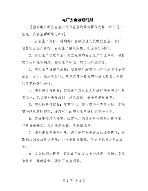 电厂安全监理细则