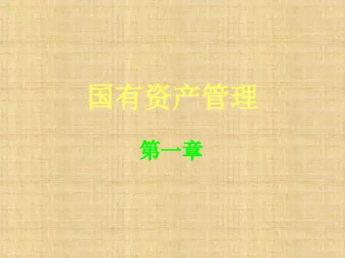 第一章  国有资产管理概论