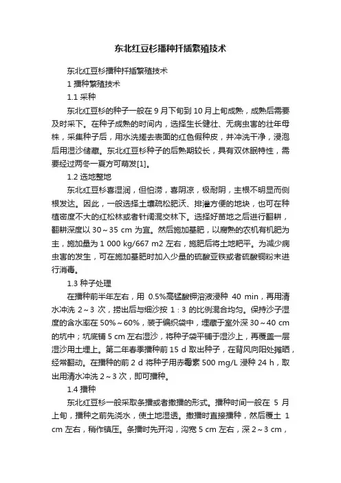 东北红豆杉播种扦插繁殖技术