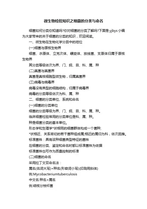 微生物检验知识之细菌的分类与命名