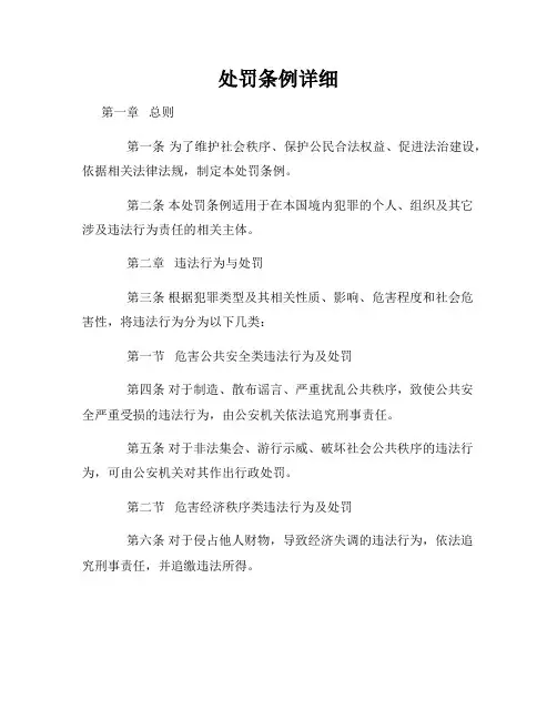 处罚条例详细