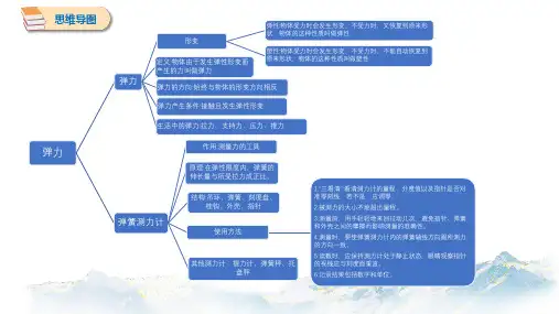 弹力 思维导图、知识点汇总 初中物理人教版八年级下册