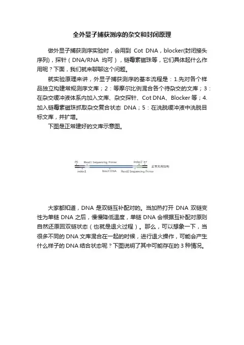 全外显子捕获测序的杂交和封闭原理