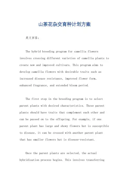 山茶花杂交育种计划方案