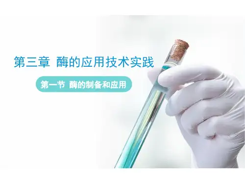苏教版高中生物选修一3.1《酶的制备和应用》教学课件41张PPT