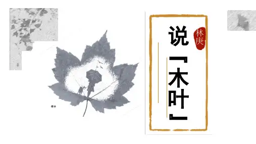 《说“木叶”》优秀课件